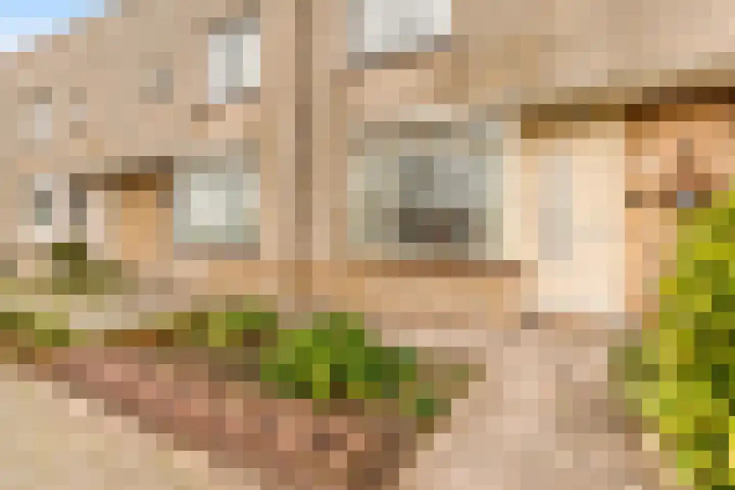 Zon Bastion 11 Velserbroek thumbnail 10