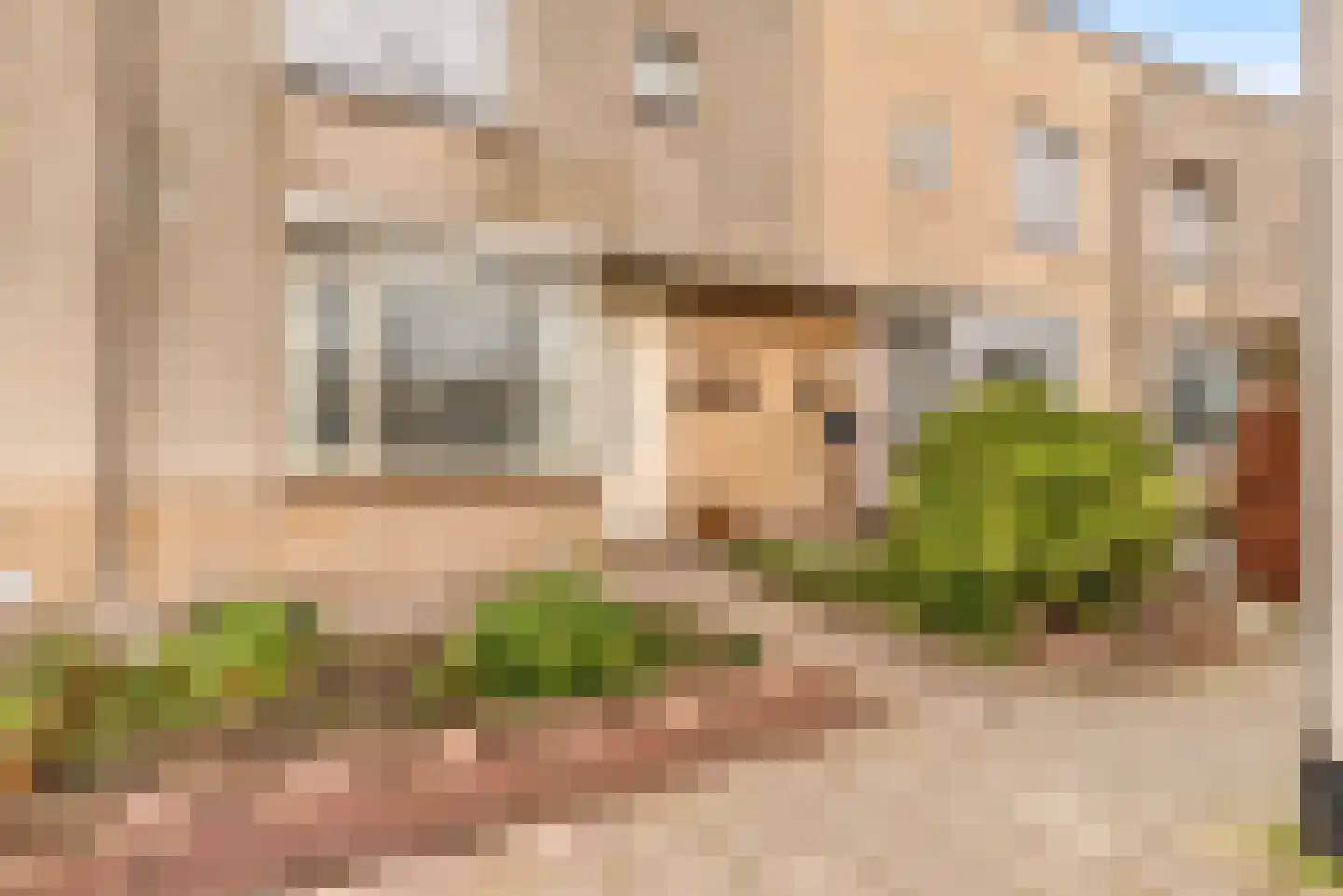 Zon Bastion 11 Velserbroek thumbnail 11
