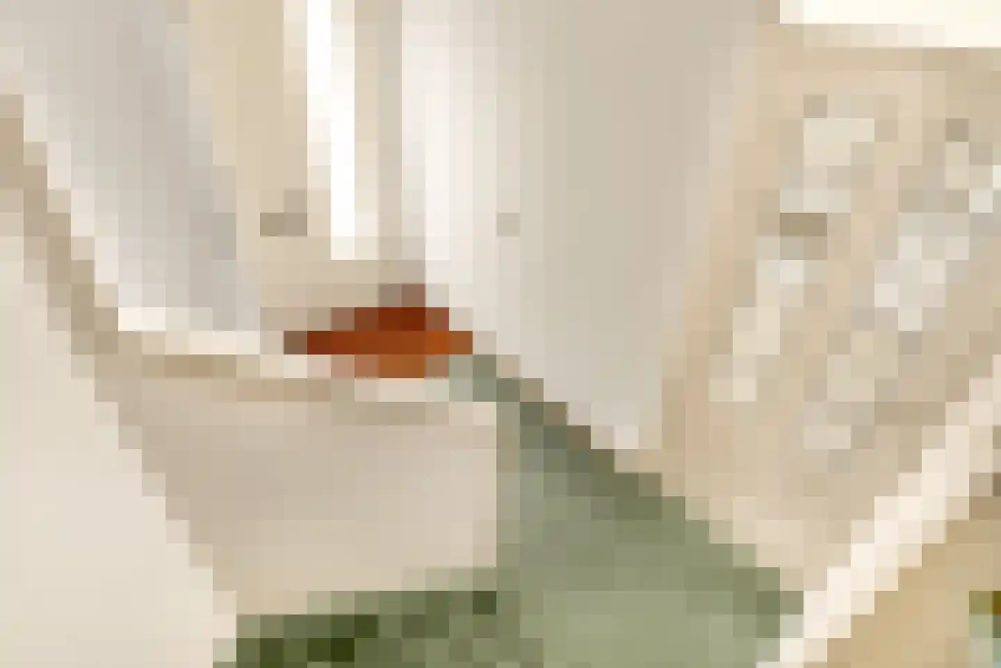 Zon Bastion 11 Velserbroek thumbnail 13