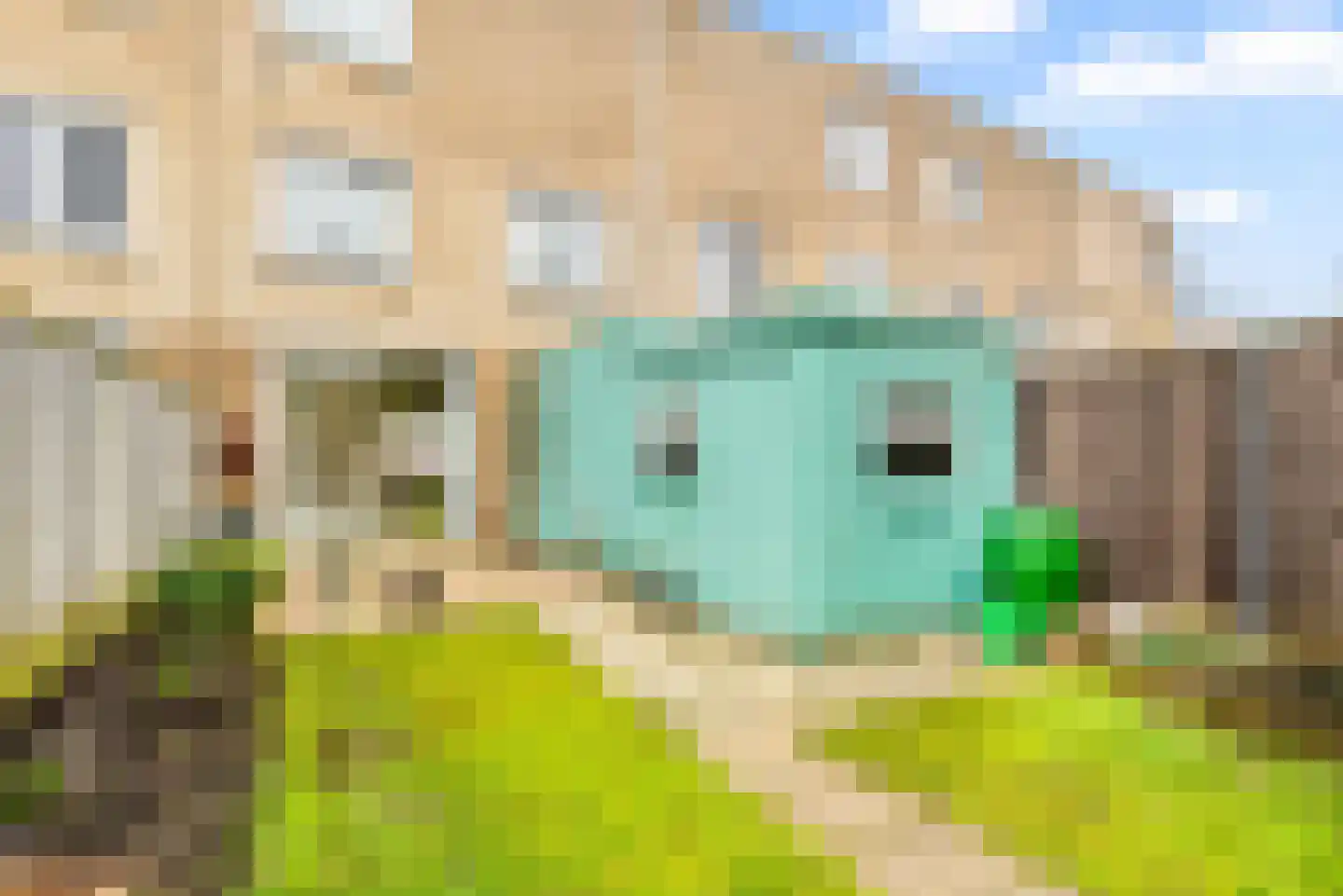 Zon Bastion 11 Velserbroek thumbnail 25