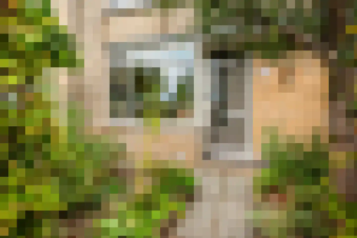 Zon Bastion 13 Velserbroek thumbnail 10
