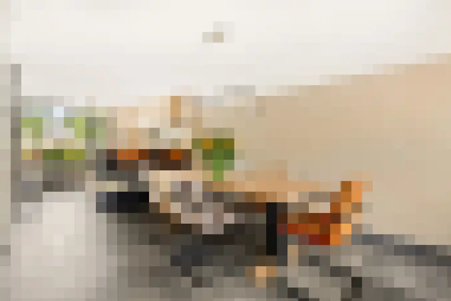 Zon Bastion 13 Velserbroek thumbnail 12