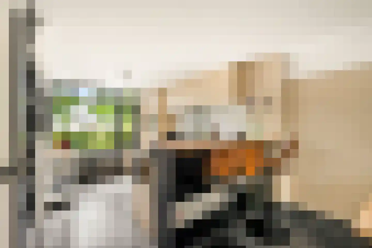 Zon Bastion 13 Velserbroek thumbnail 13