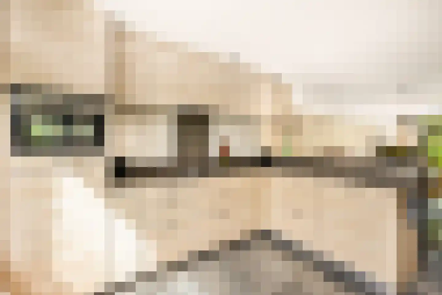 Zon Bastion 13 Velserbroek thumbnail 15