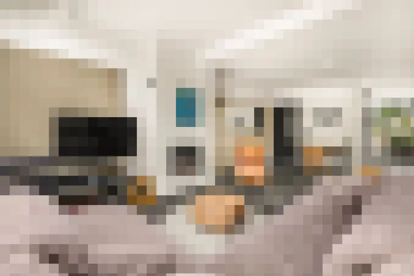 Zon Bastion 13 Velserbroek thumbnail 23