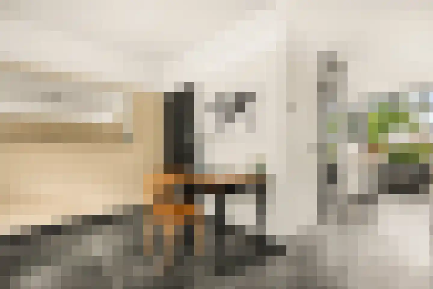 Zon Bastion 13 Velserbroek thumbnail 25