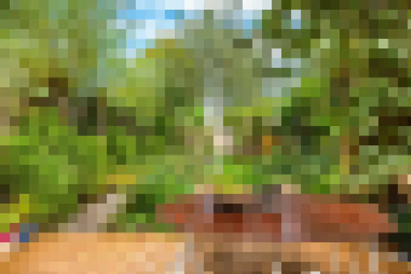 Zon Bastion 13 Velserbroek thumbnail 27