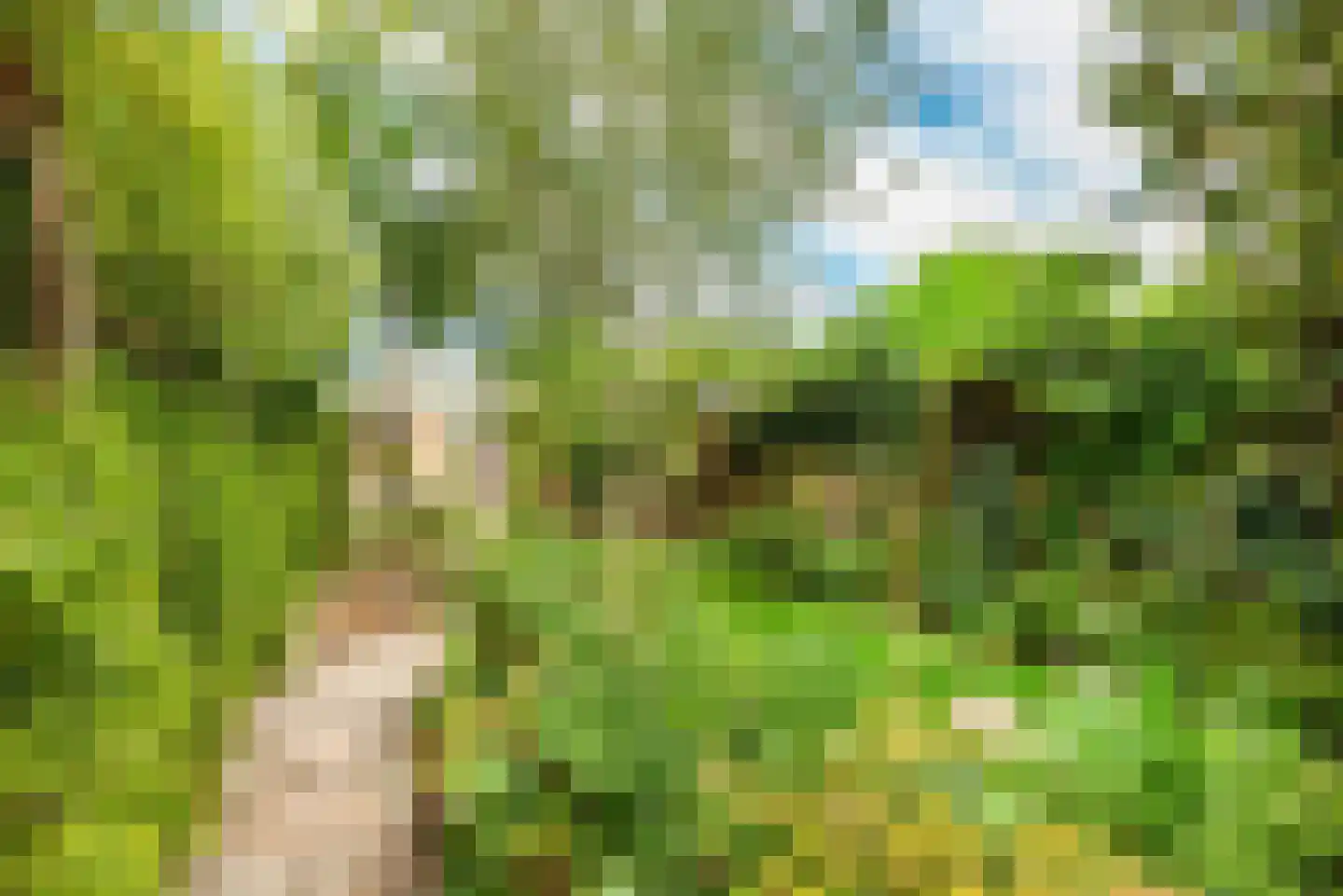 Zon Bastion 13 Velserbroek thumbnail 29