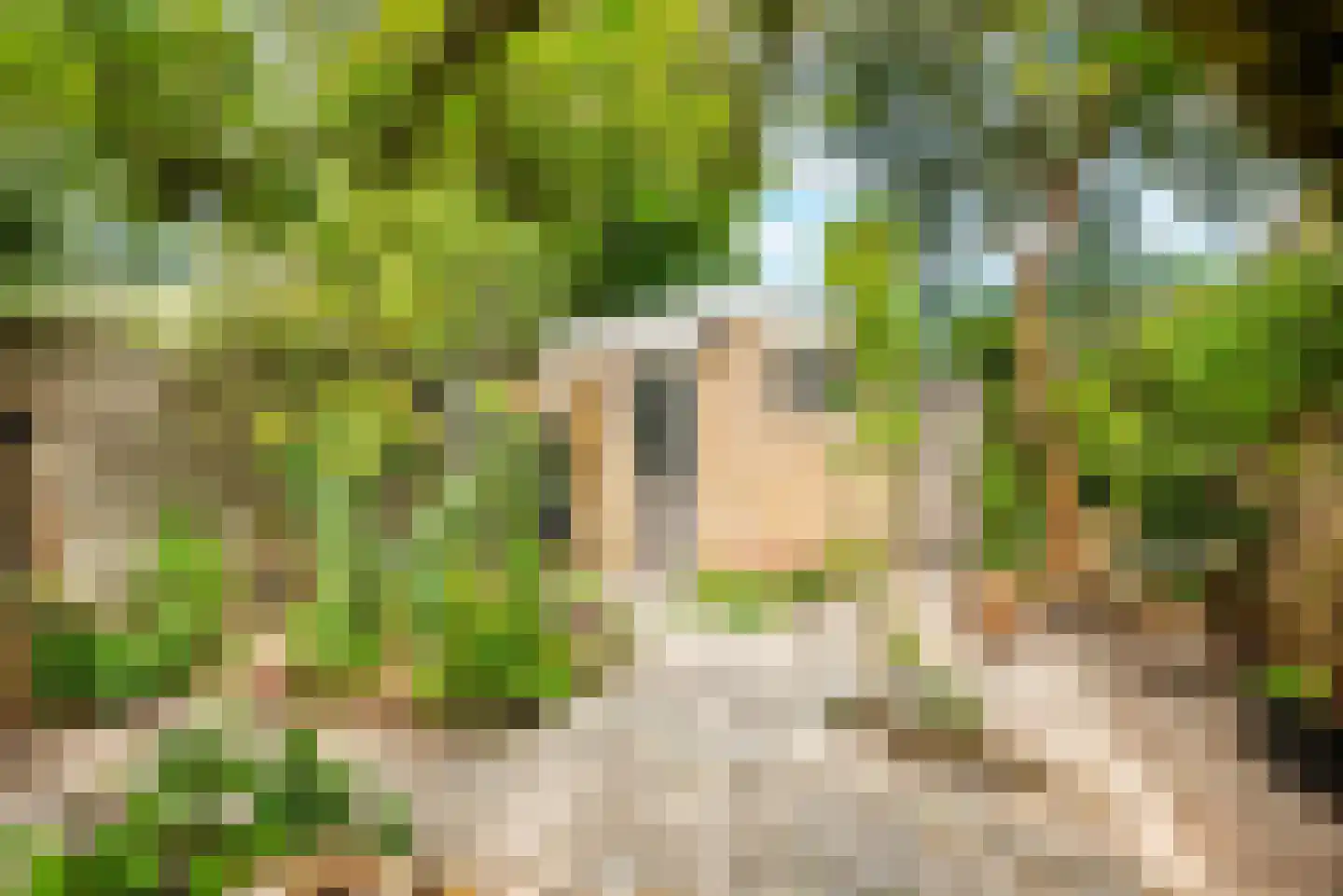 Zon Bastion 13 Velserbroek thumbnail 31