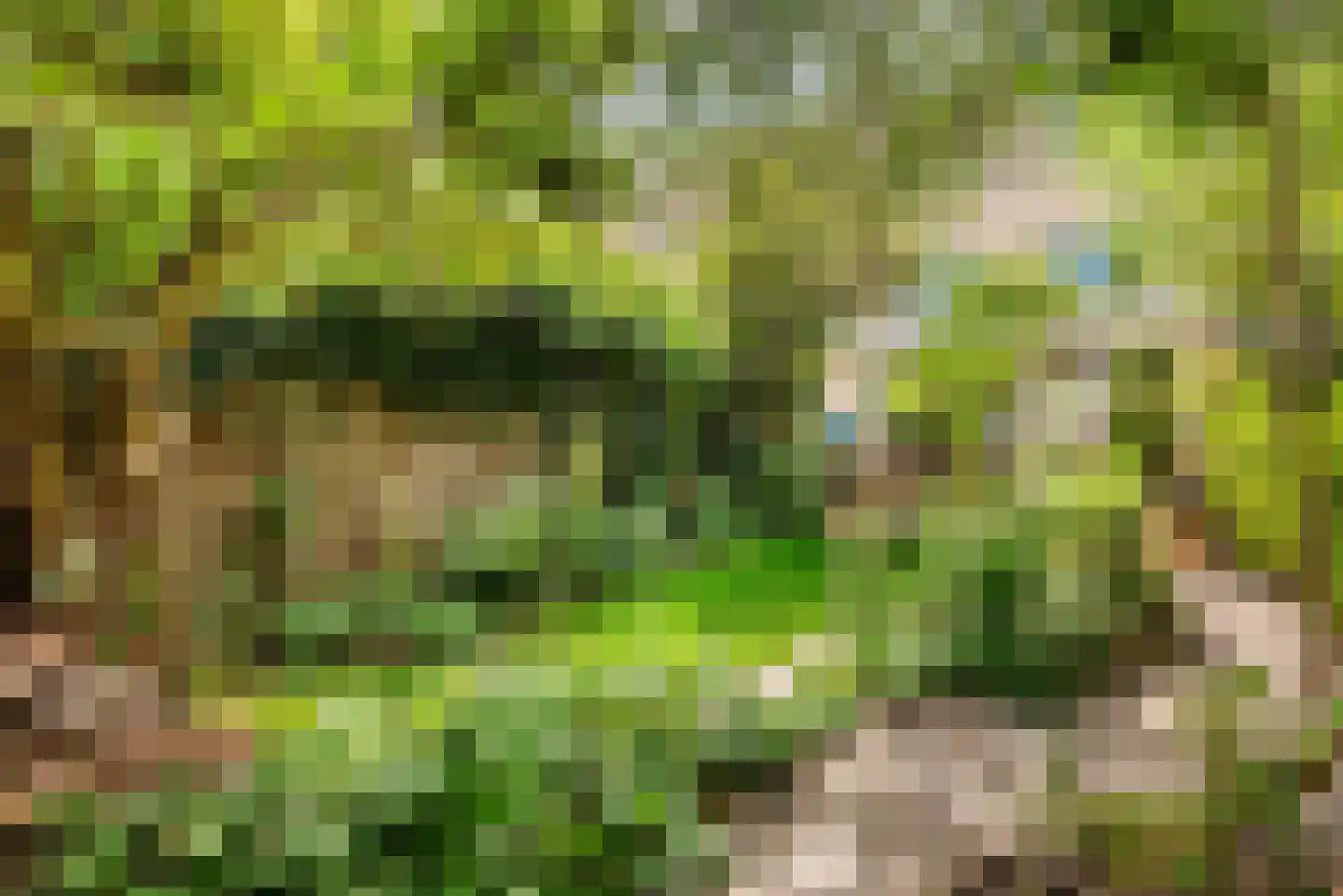 Zon Bastion 13 Velserbroek thumbnail 32