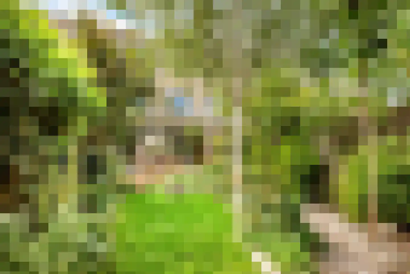 Zon Bastion 13 Velserbroek thumbnail 33