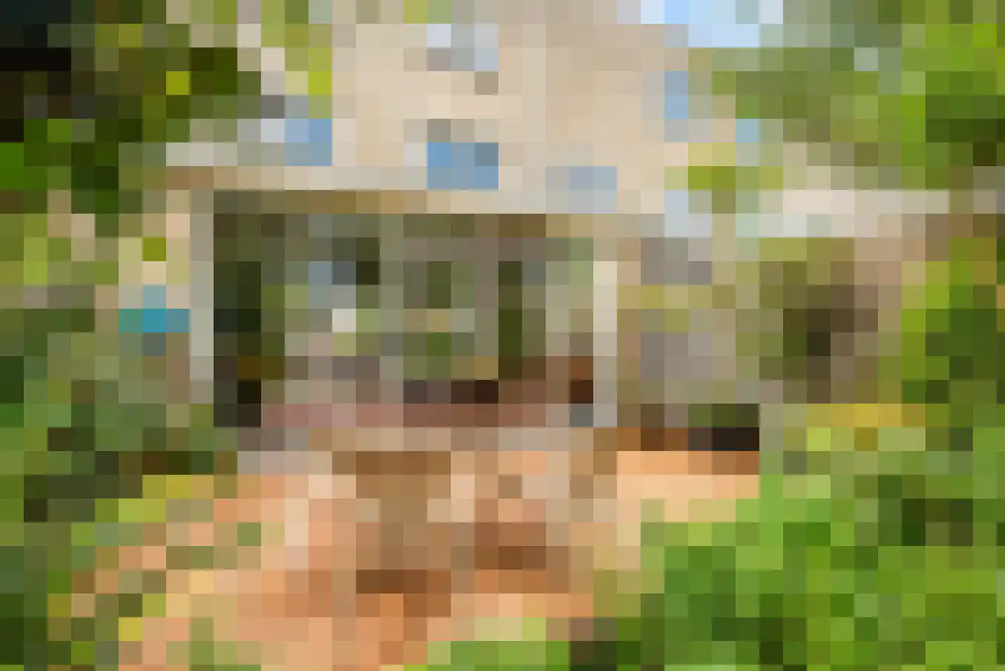 Zon Bastion 13 Velserbroek thumbnail 34