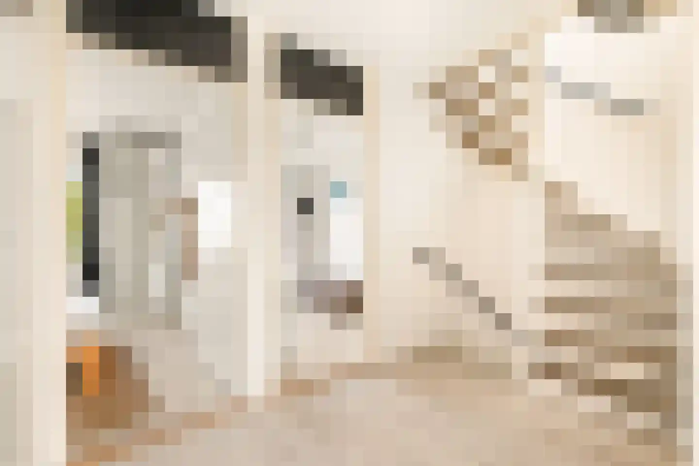 Zon Bastion 13 Velserbroek thumbnail 39
