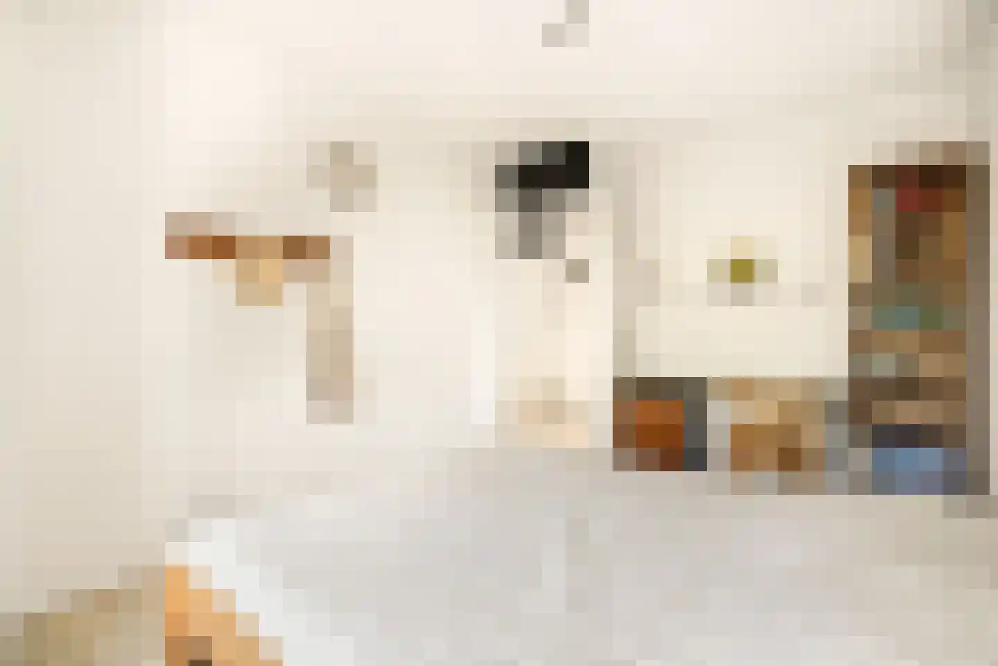 Zon Bastion 13 Velserbroek thumbnail 44