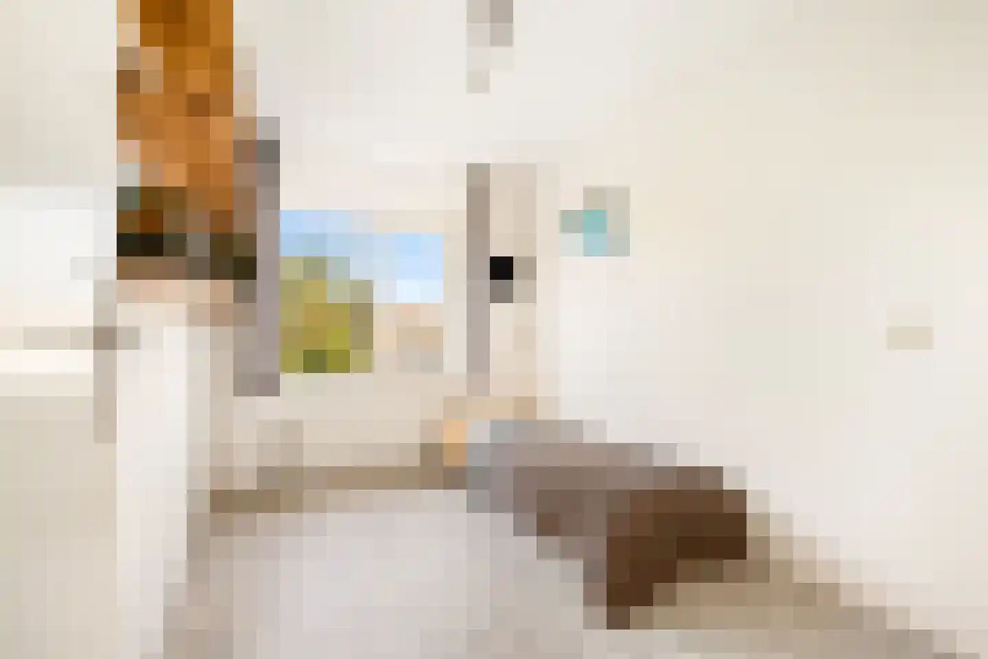 Zon Bastion 13 Velserbroek thumbnail 45