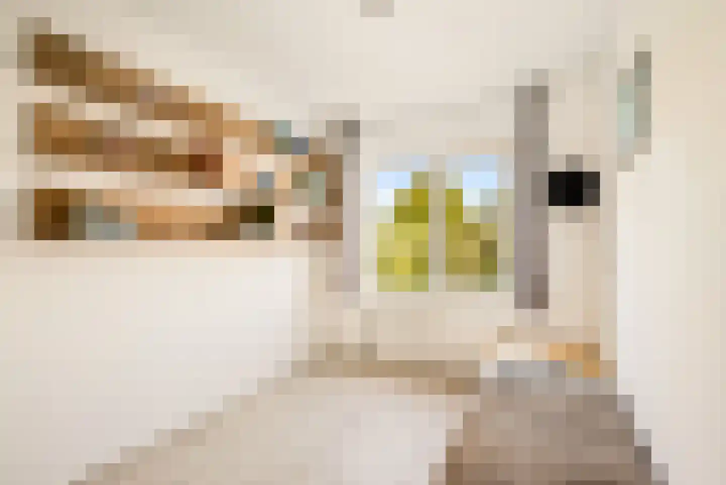 Zon Bastion 13 Velserbroek thumbnail 46