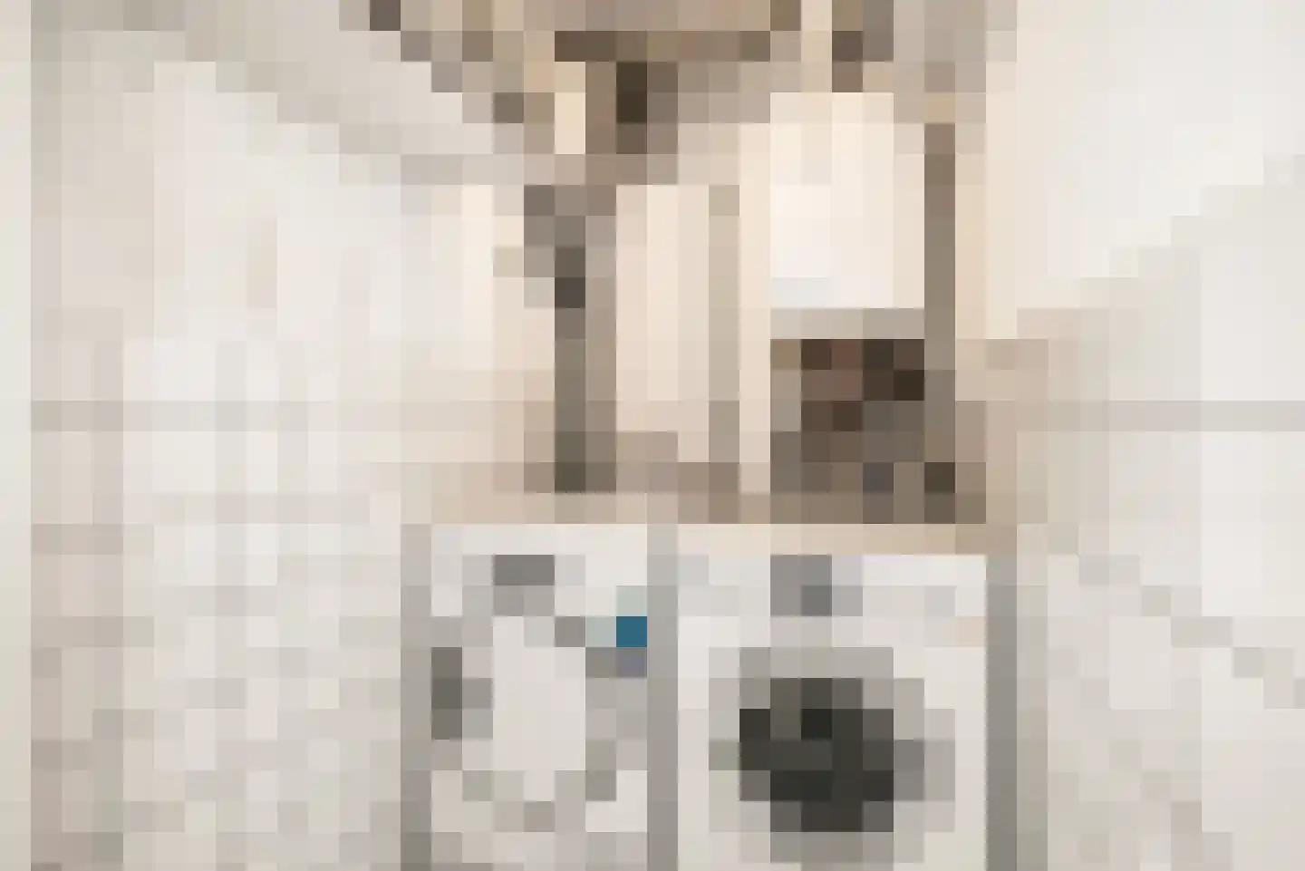 Zon Bastion 13 Velserbroek thumbnail 50