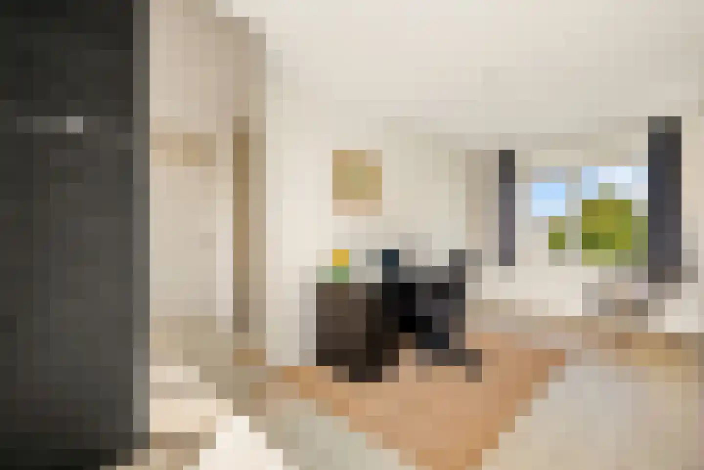 Zon Bastion 13 Velserbroek thumbnail 51