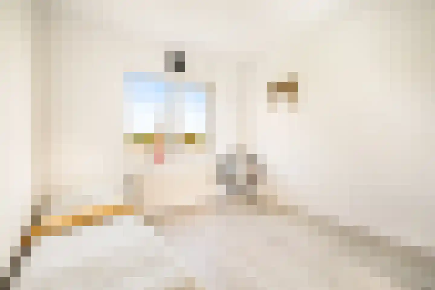 Zon Bastion 13 Velserbroek thumbnail 55