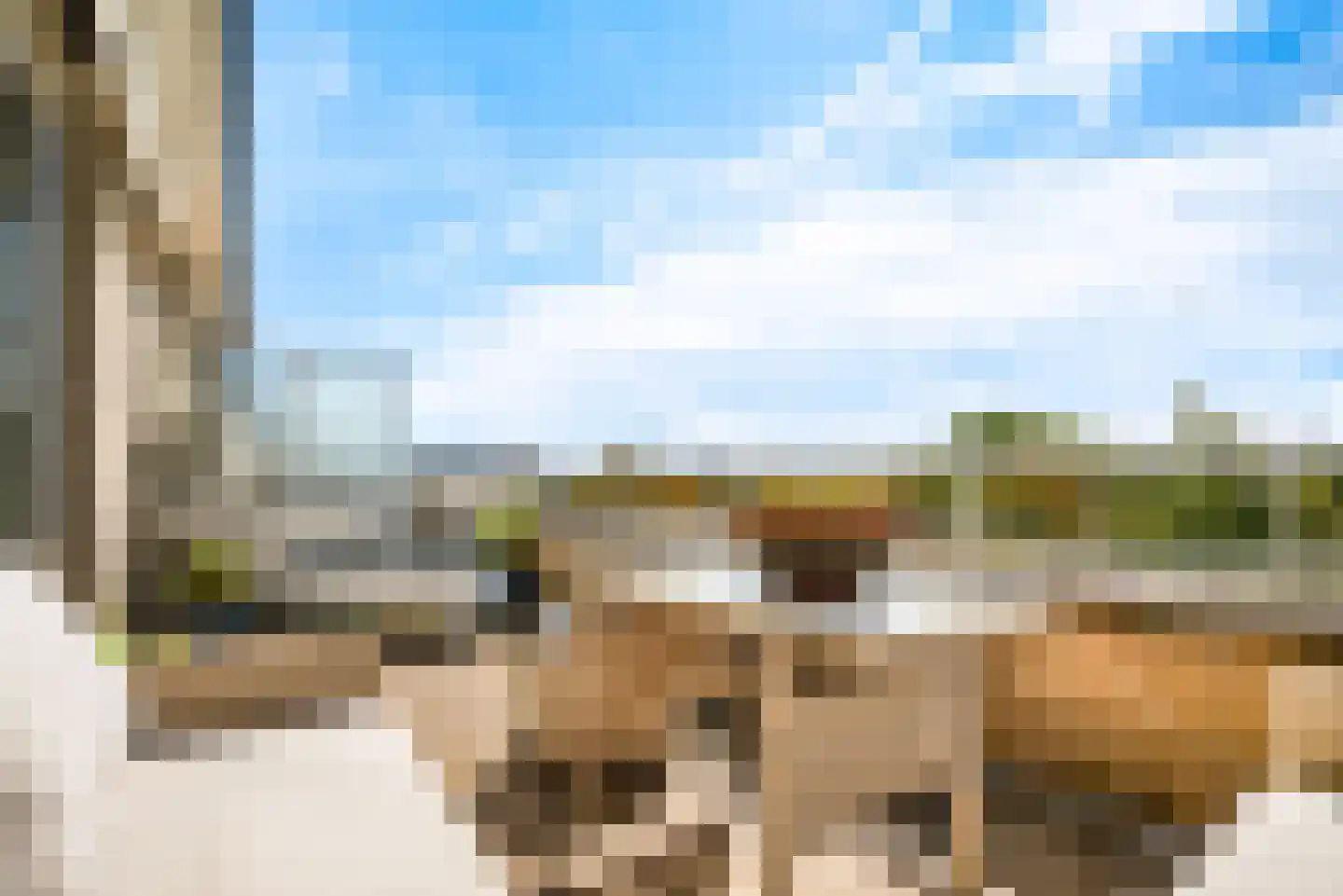 Zon Bastion 13 Velserbroek thumbnail 59