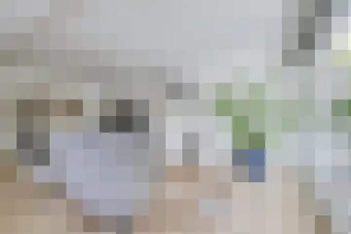 Zondaghof 17 Almere thumbnail 11