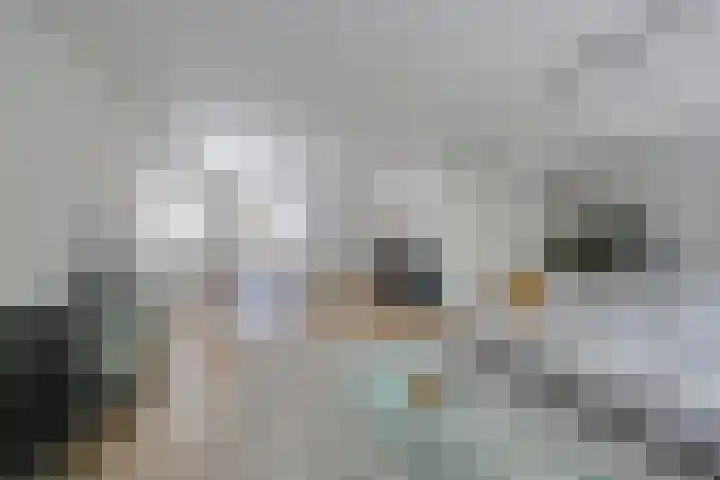 Zondaghof 17 Almere thumbnail 14
