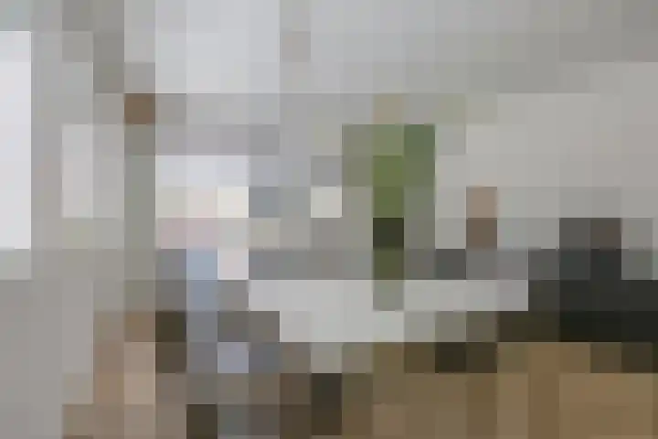 Zondaghof 17 Almere thumbnail 15