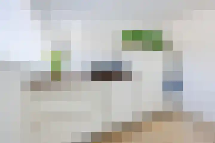 Zondaghof 17 Almere thumbnail 18