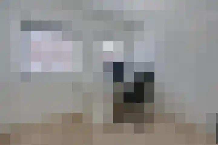 Zondaghof 17 Almere thumbnail 26