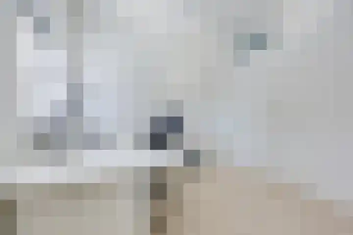 Zondaghof 17 Almere thumbnail 27
