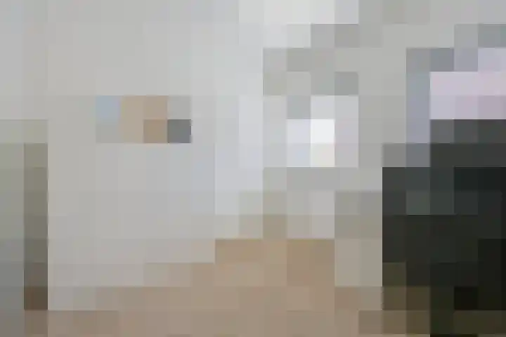 Zondaghof 17 Almere thumbnail 28