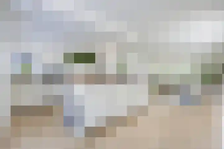 Zondaghof 17 Almere thumbnail 4