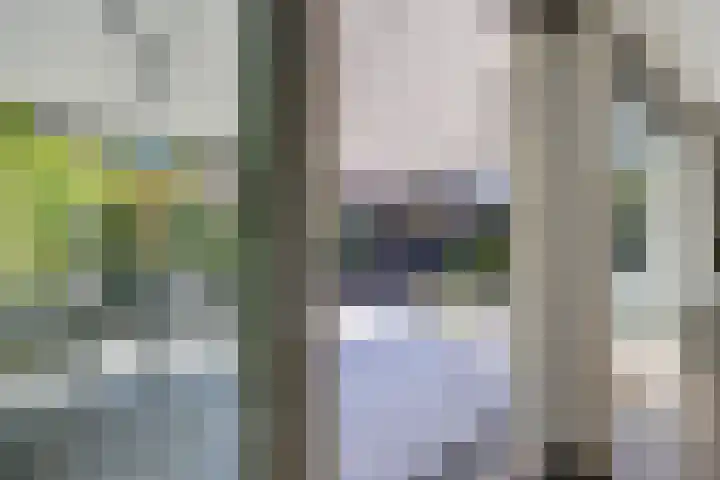 Zondaghof 17 Almere thumbnail 42