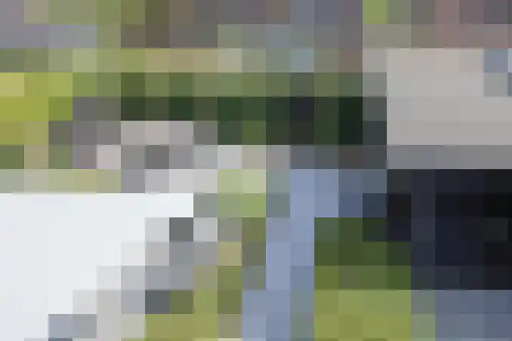 Zondaghof 17 Almere thumbnail 43