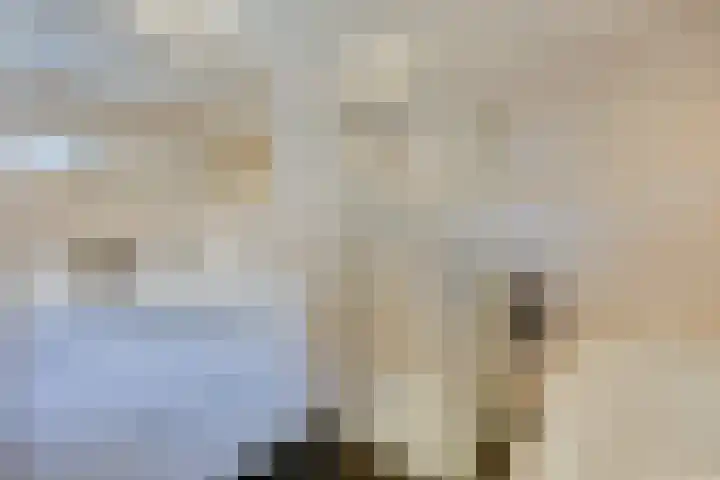 Zondaghof 17 Almere thumbnail 5