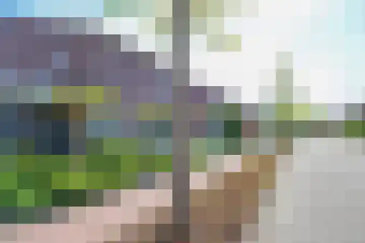 Zondaghof 17 Almere thumbnail 55