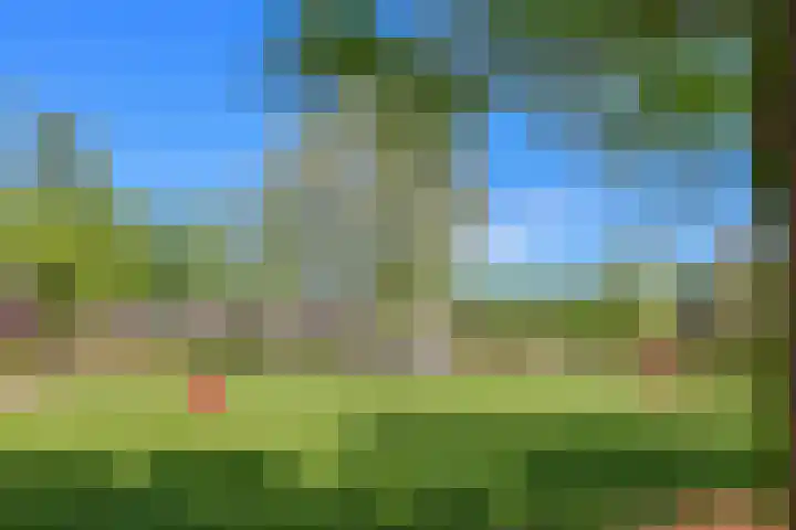 Zondaghof 17 Almere thumbnail 58