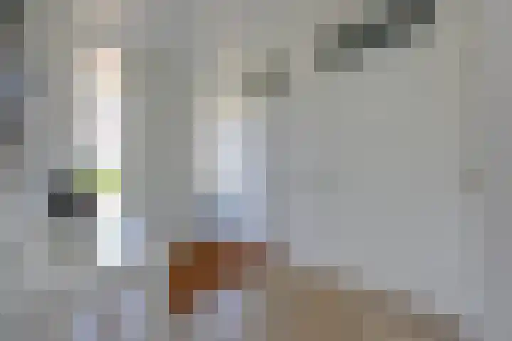 Zondaghof 17 Almere thumbnail 6
