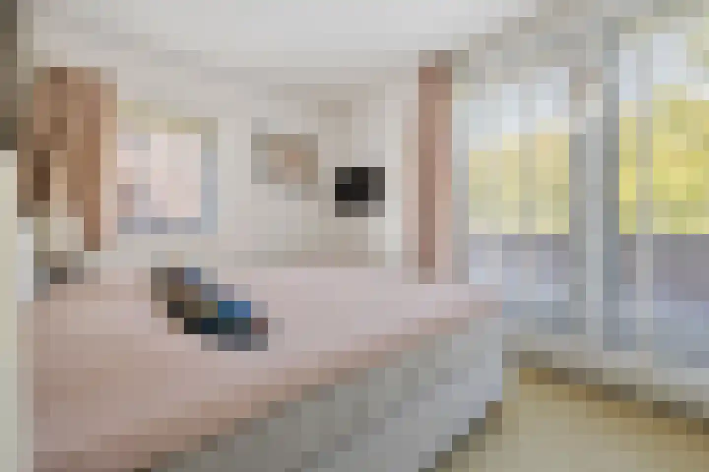 Zondaghof 36 Almere thumbnail 21