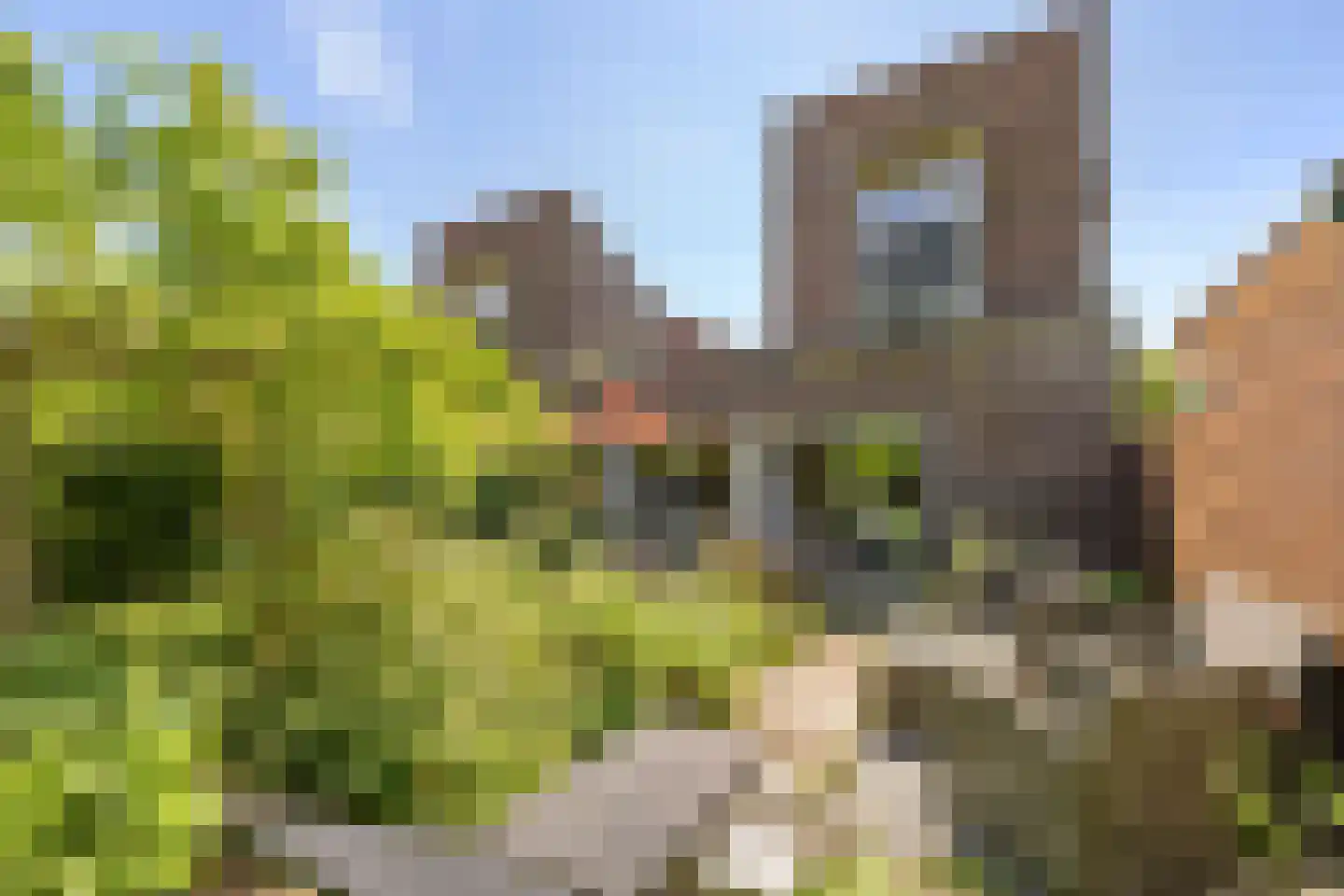 Zondaghof 36 Almere thumbnail 31