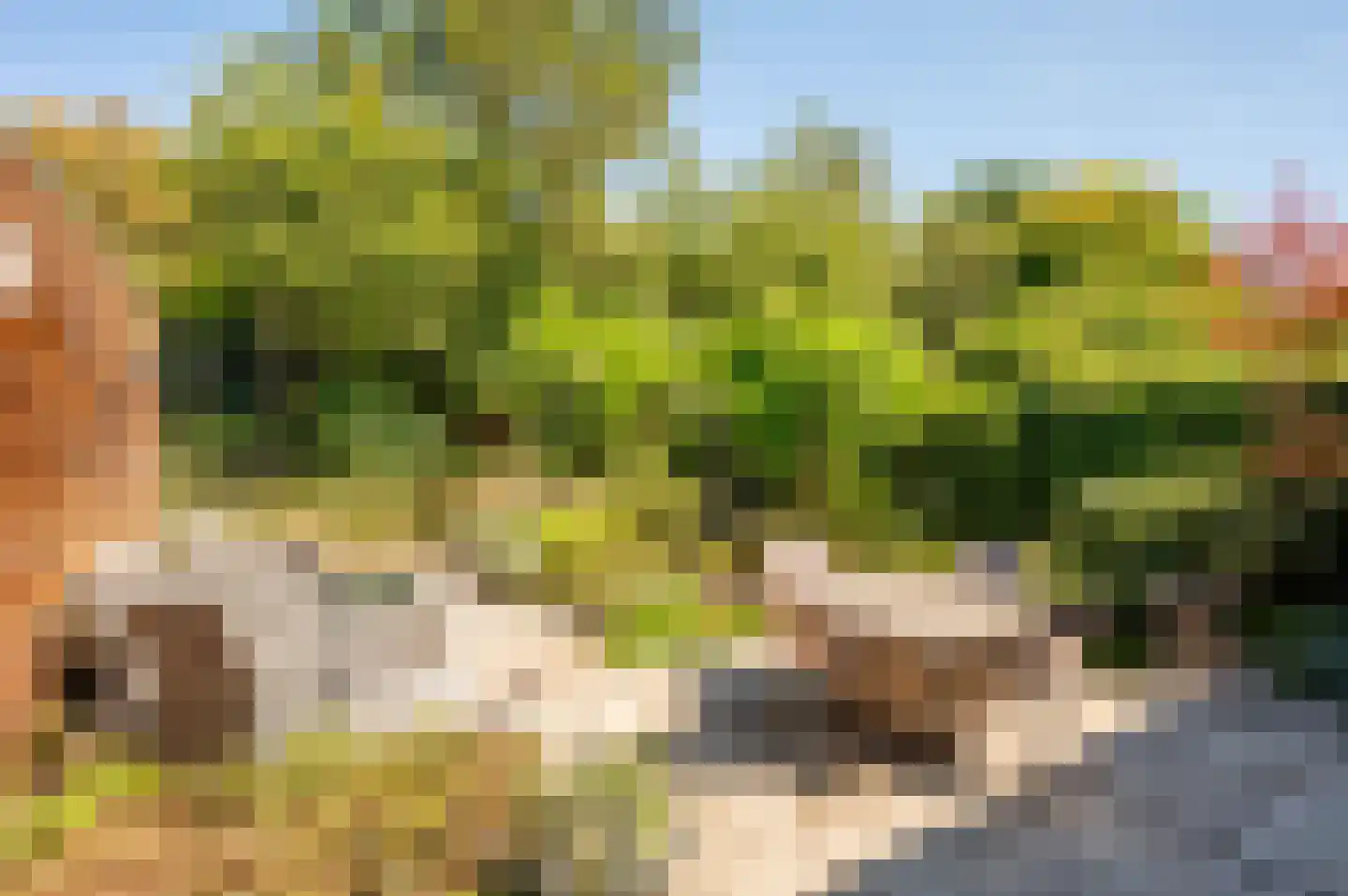 Zondaghof 36 Almere thumbnail 32