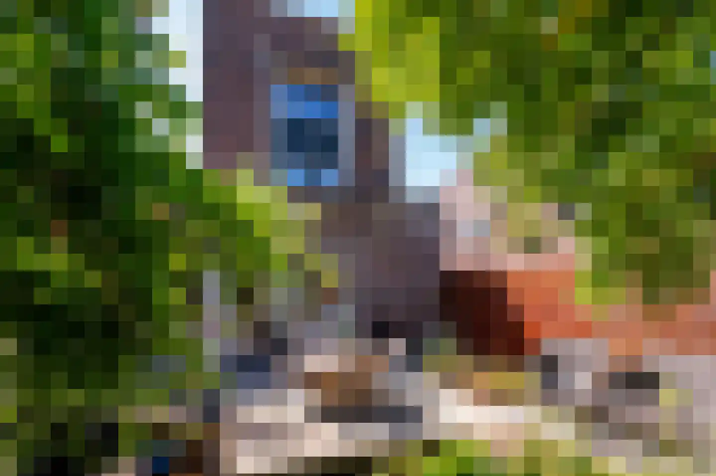 Zondaghof 36 Almere thumbnail 33
