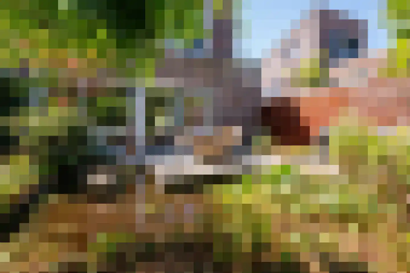 Zondaghof 36 Almere thumbnail 34