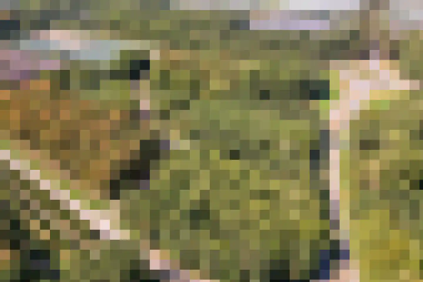Zondaghof 36 Almere thumbnail 40