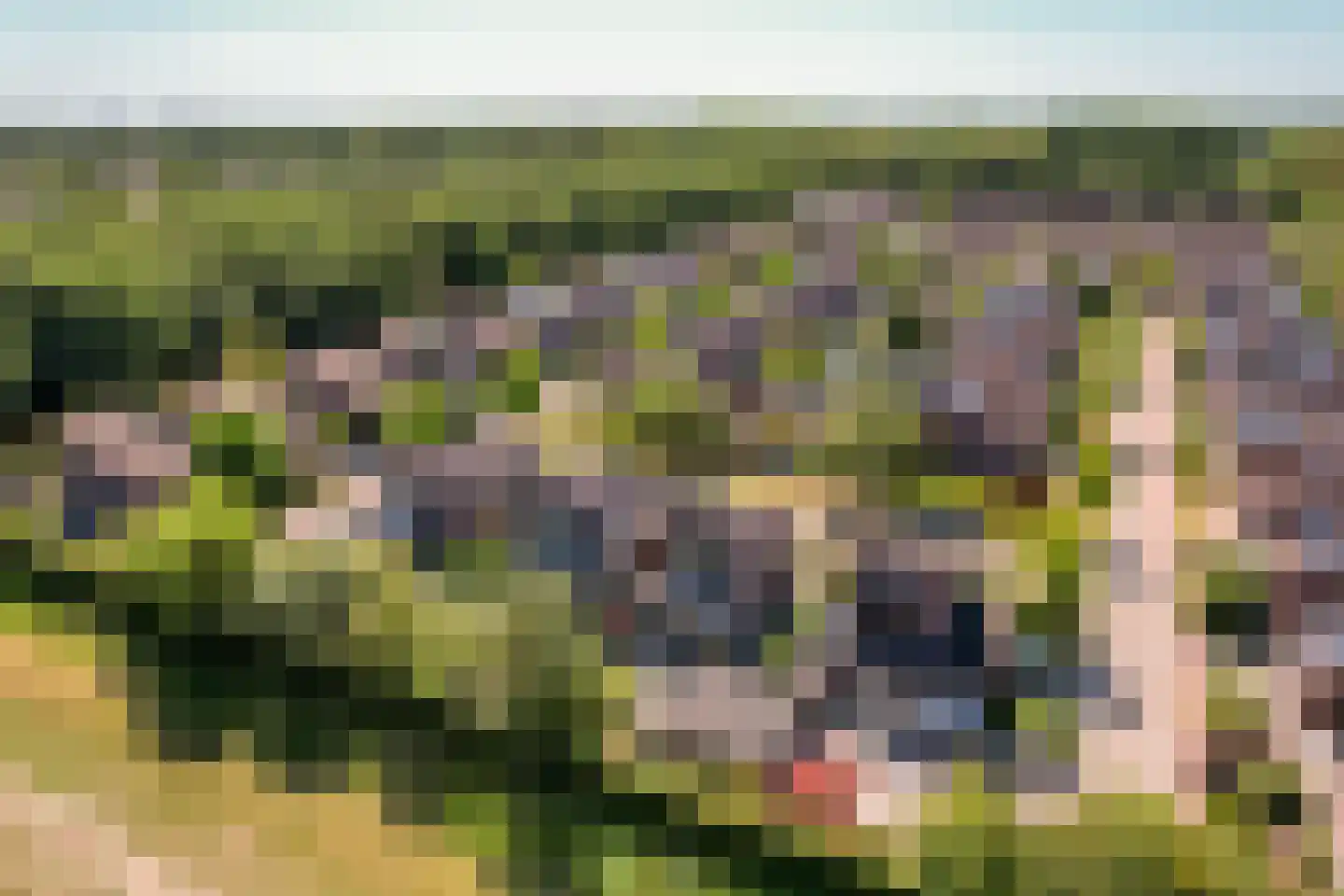 Zondaghof 36 Almere thumbnail 42