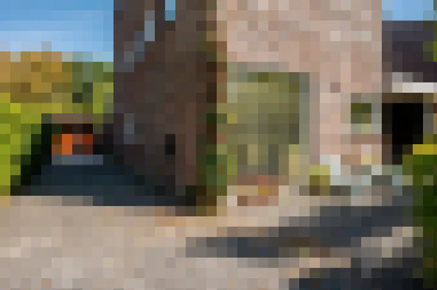 Zondaghof 36 Almere thumbnail 6