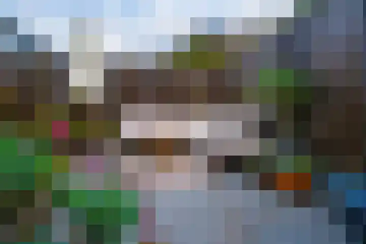 Zonegge 08 12 Zevenaar thumbnail 22