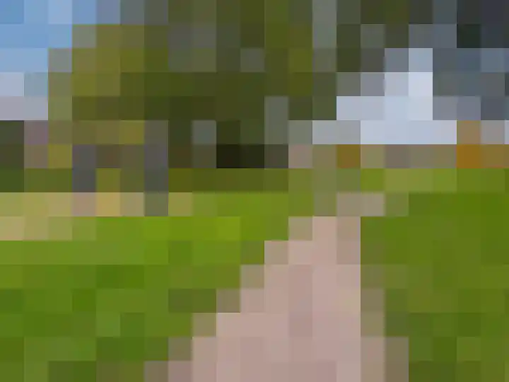 Zonegge 08 12 Zevenaar thumbnail 42