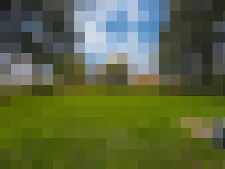 Zonegge 08 12 Zevenaar thumbnail 43