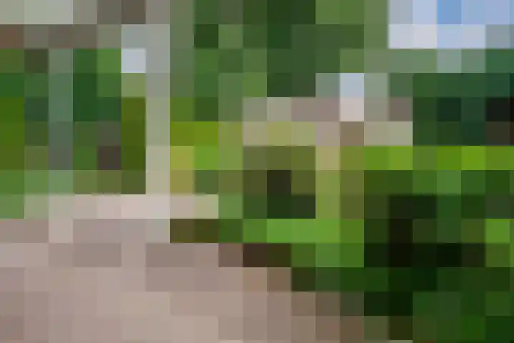 Zonegge 09 10 Zevenaar thumbnail 23